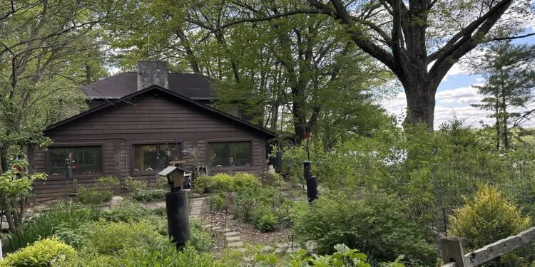 Support mangeoire sur pied installé dans un jardin pour nourrir les oiseaux