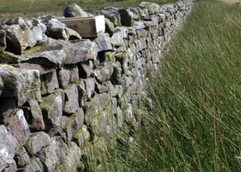 Boรฎte ร grit en bois posรฉe dans une lande, destinรฉe ร fournir de petits graviers aux oiseaux.