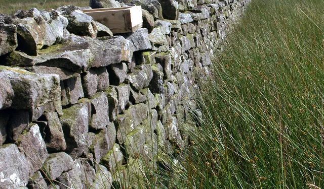Boîte à grit en bois posée dans une lande, destinée à fournir de petits graviers aux oiseaux.