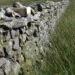 Boรฎte ร grit en bois posรฉe dans une lande, destinรฉe ร fournir de petits graviers aux oiseaux.