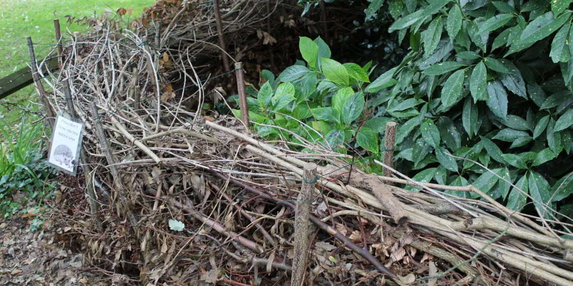 Haie sรจche composรฉe de branches empilรฉes entre des piquets dans un jardin.