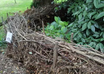 Haie sรจche composรฉe de branches empilรฉes entre des piquets dans un jardin.