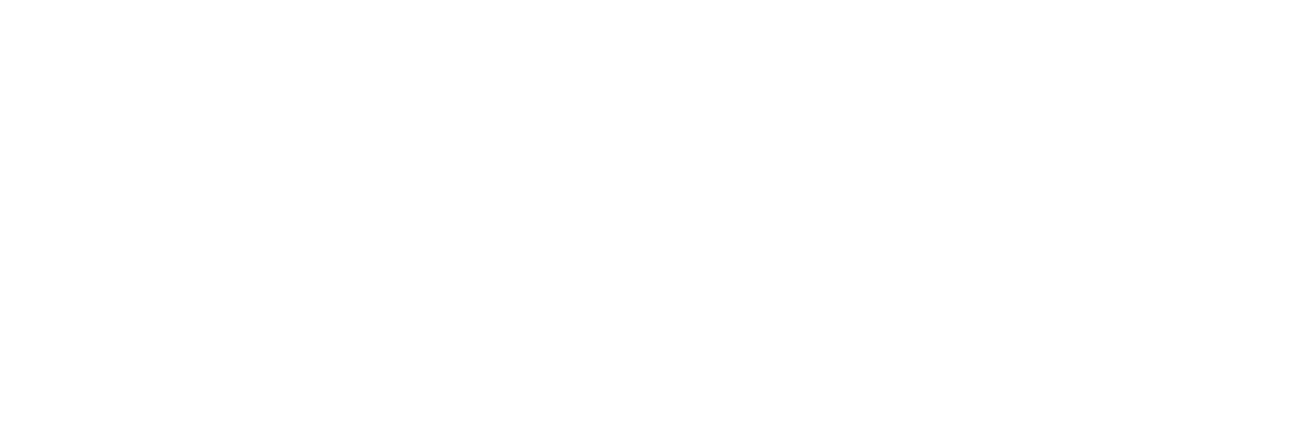 Dr. Victoria Lynn Schmidt