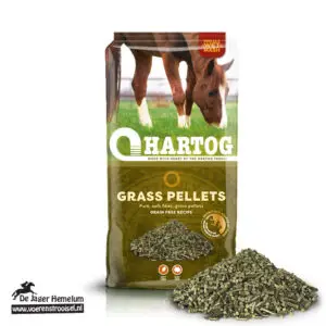 Hartog Grasbrok
