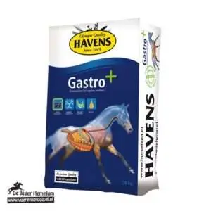 Havens Gastro+