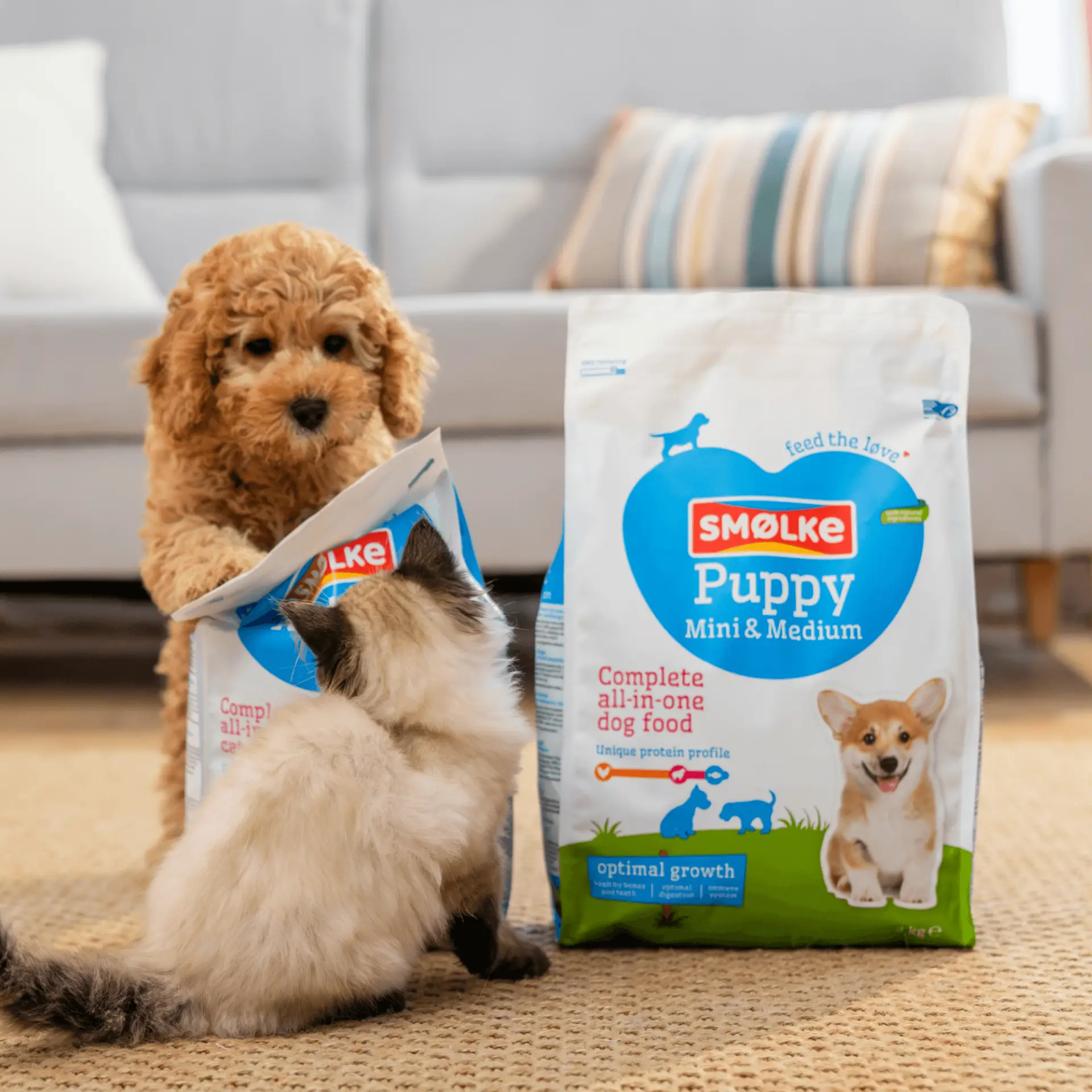 Smolke Puppy Mini & Medium 3 kg - Afbeelding 8