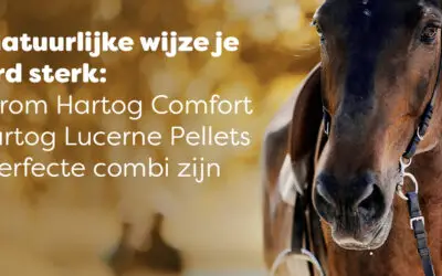 Hartog Comfort en Hartog Lucerne Pellets de perfecte combinatie