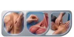 Watford Injury Clinic