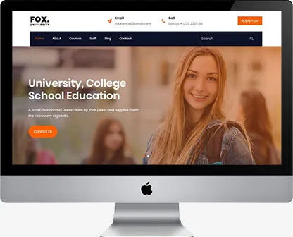 website auditing