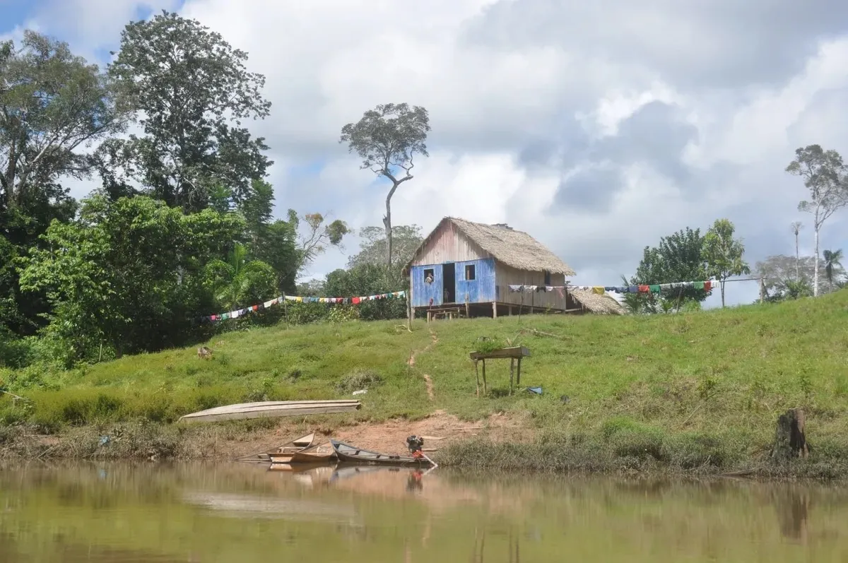 Envira-Amazonien-Projekt - Erhaltung des Tropenwaldes - Brasilien - Image 3