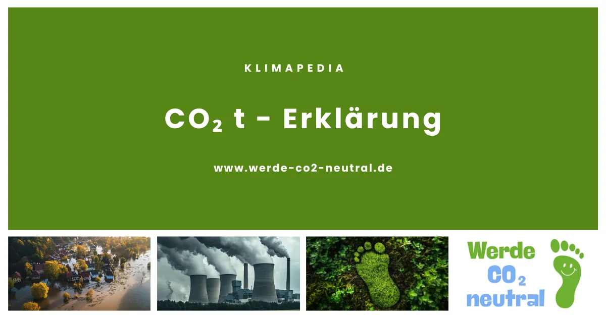 CO₂ t - Erklärung