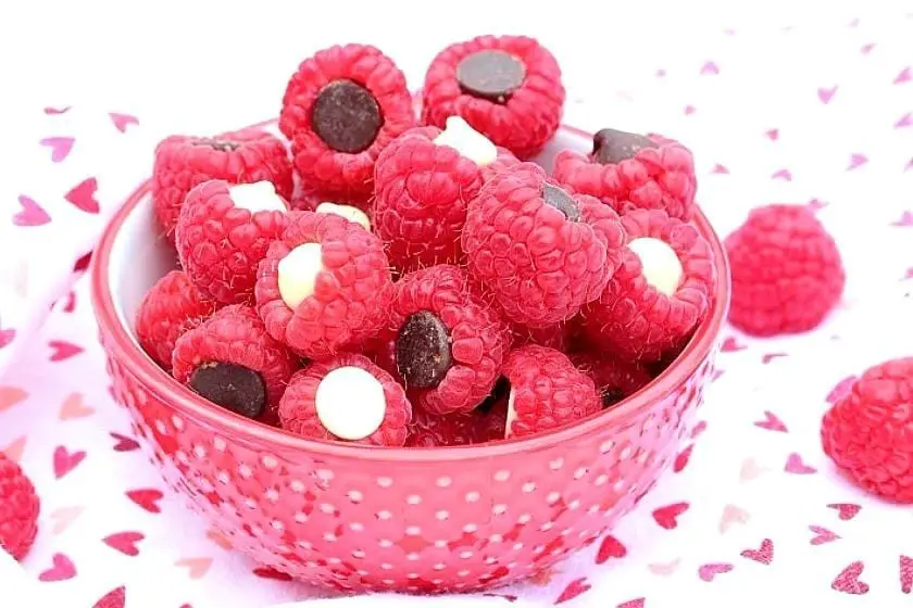 Dani-Spies-840-01 Making Healthy Eating Crazy-easy & Delicious