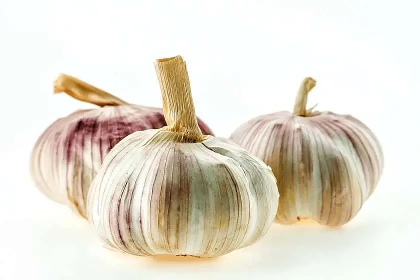 Top 10 Proven Health Benefits Of Garlic-01 Garlic: Top Proven Health Booster Benefits