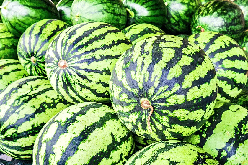 fresh-watermelons-Superfoods With Low Calories Why We Love Superfood (And You Should, Too)
