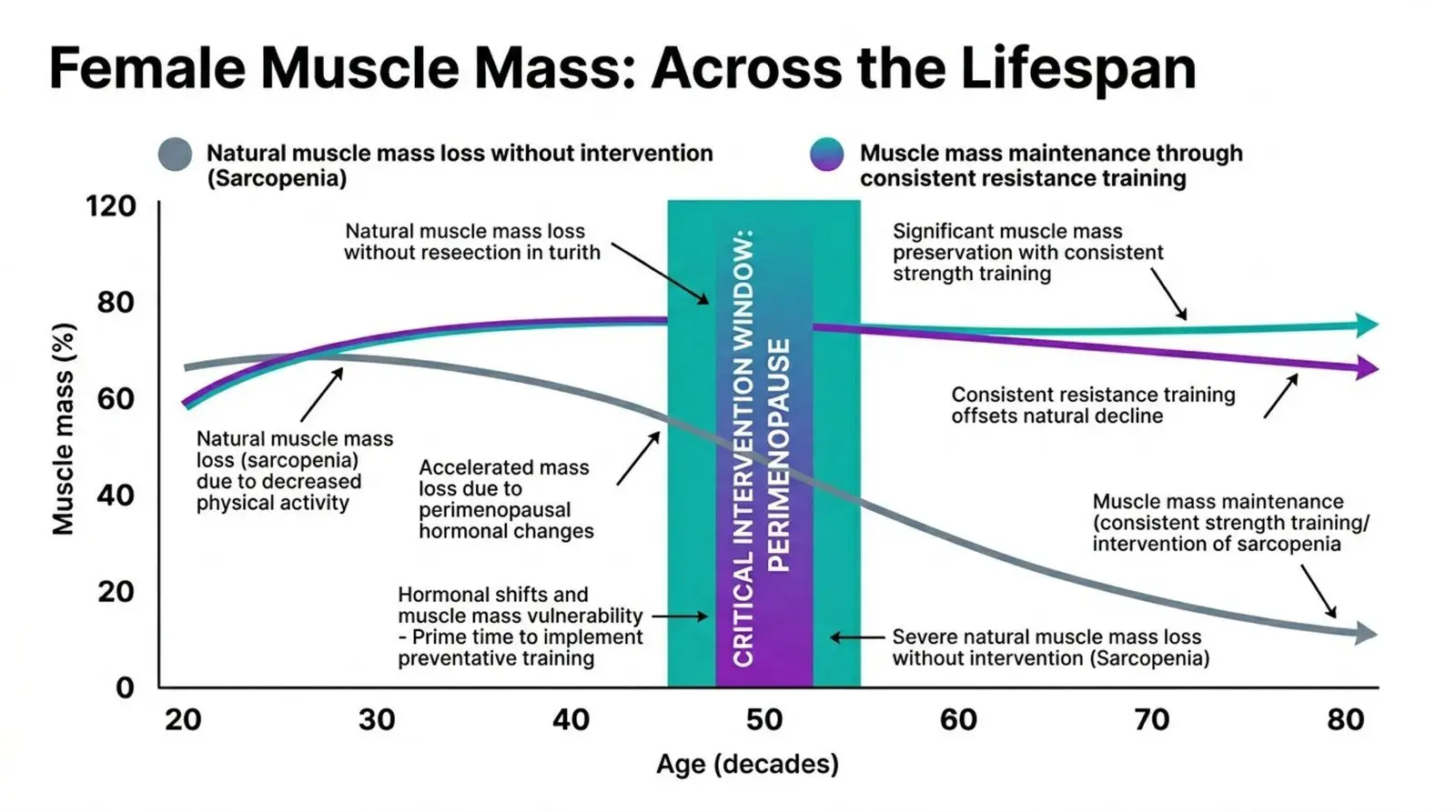Why You Should Lift Weights-11 Why You Should Lift Weights: The Evidence-Based Guide for Women Who Want Real Results