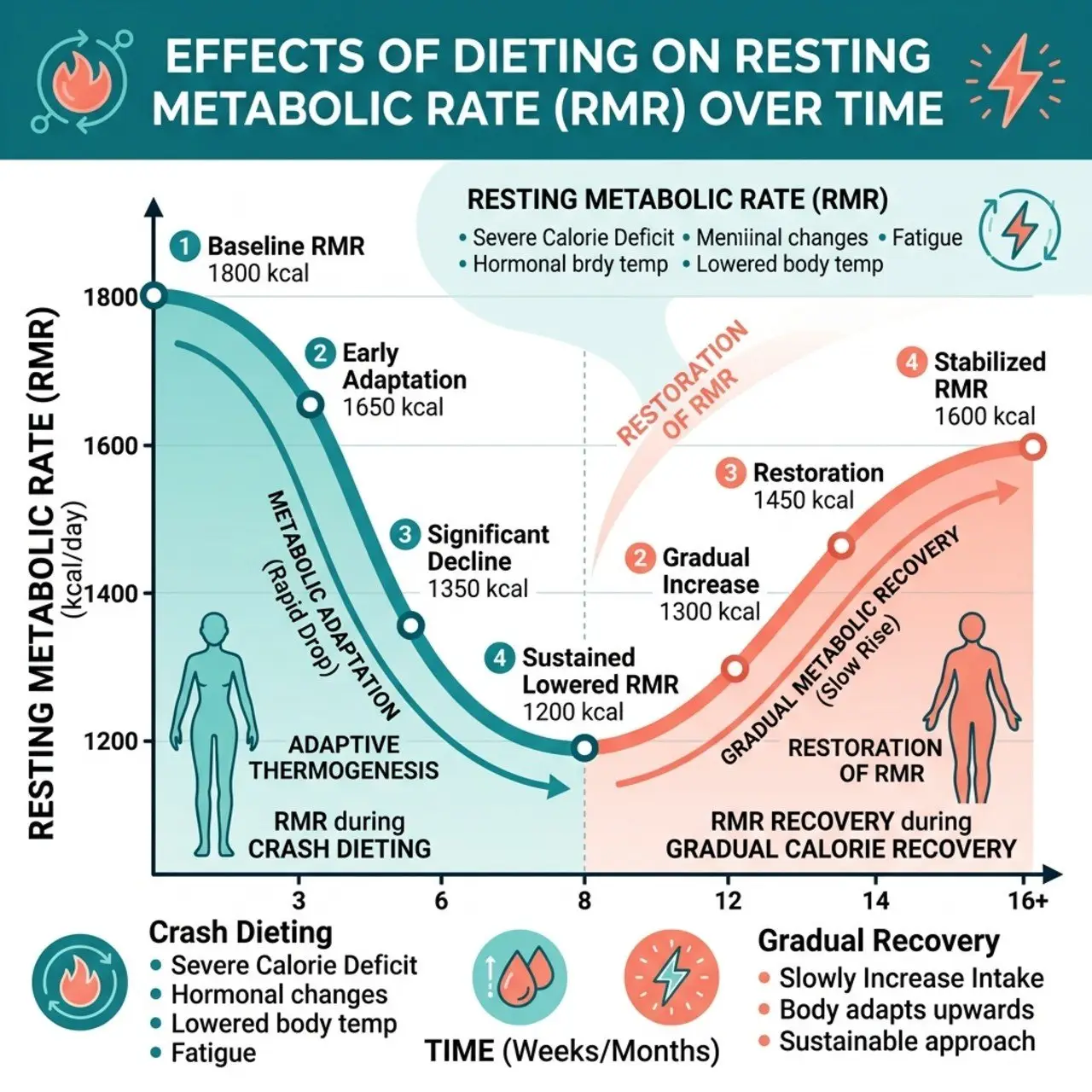 The Science Behind Weight Loss Programs