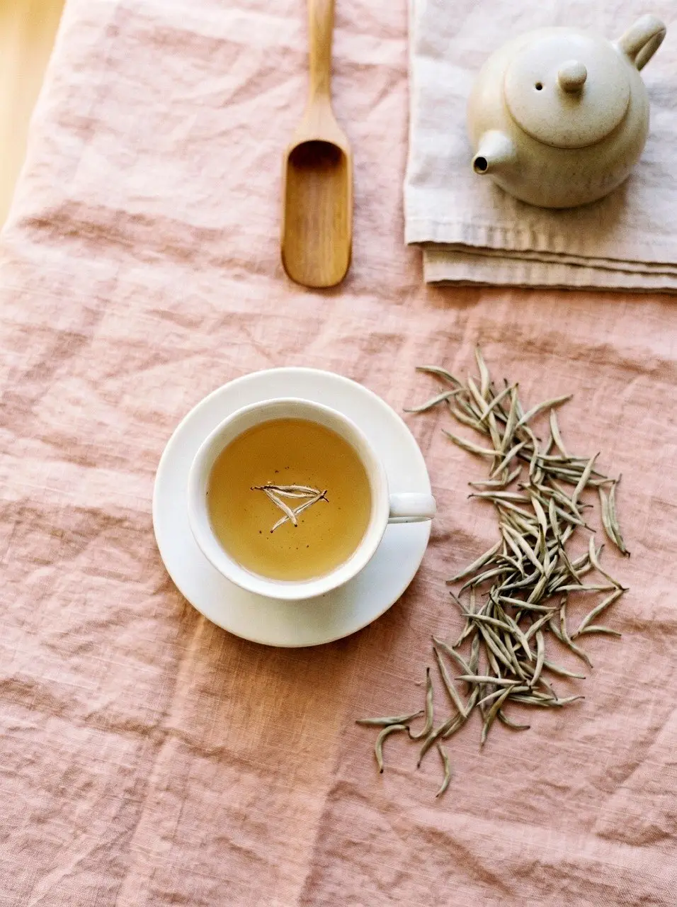 white tea benefits what the research actually shows (and what it doesn’t) 01 White Tea Benefits