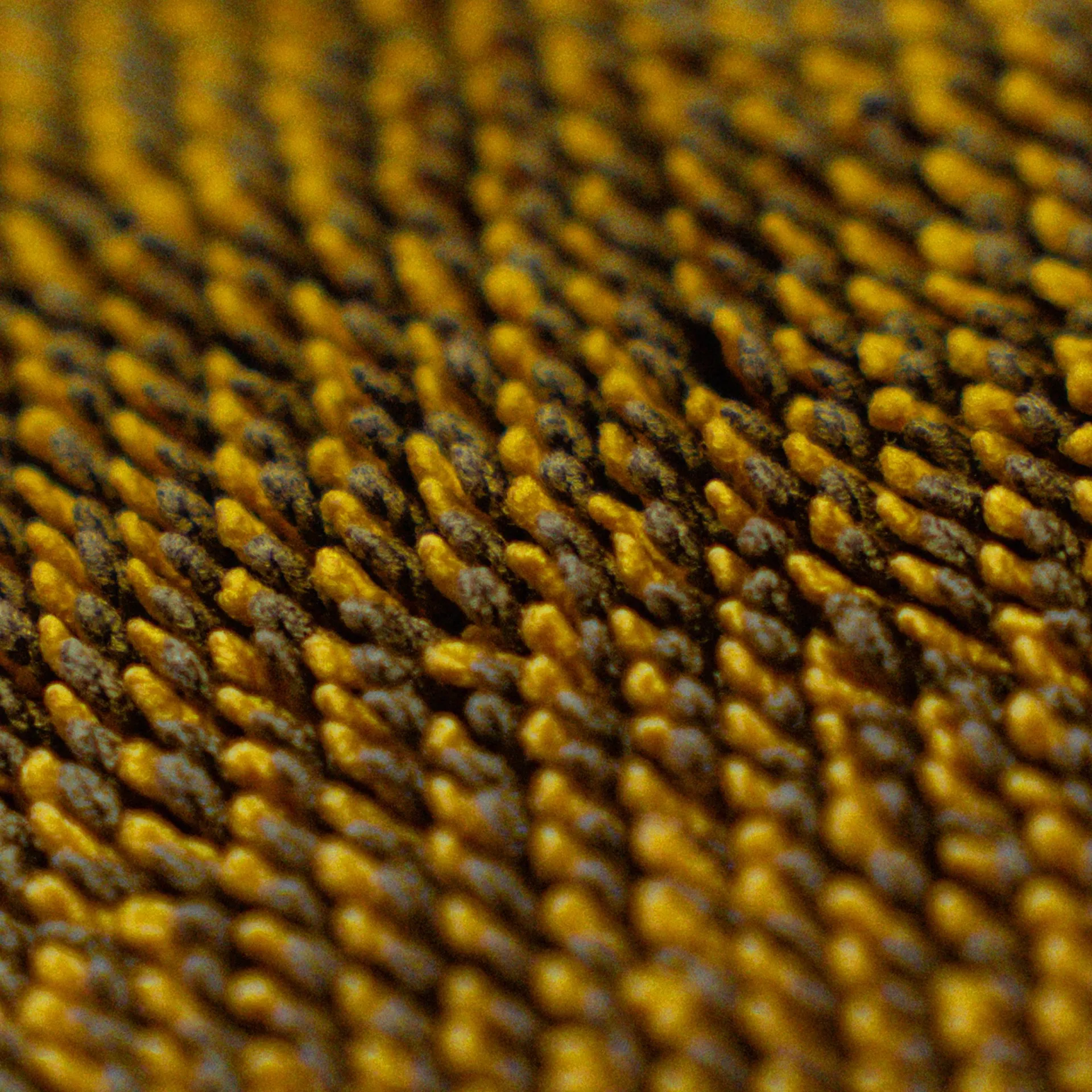 Densely packed, elongated yellow and brown seeds or bristles form a textured, repeating microfiber towel-like pattern.