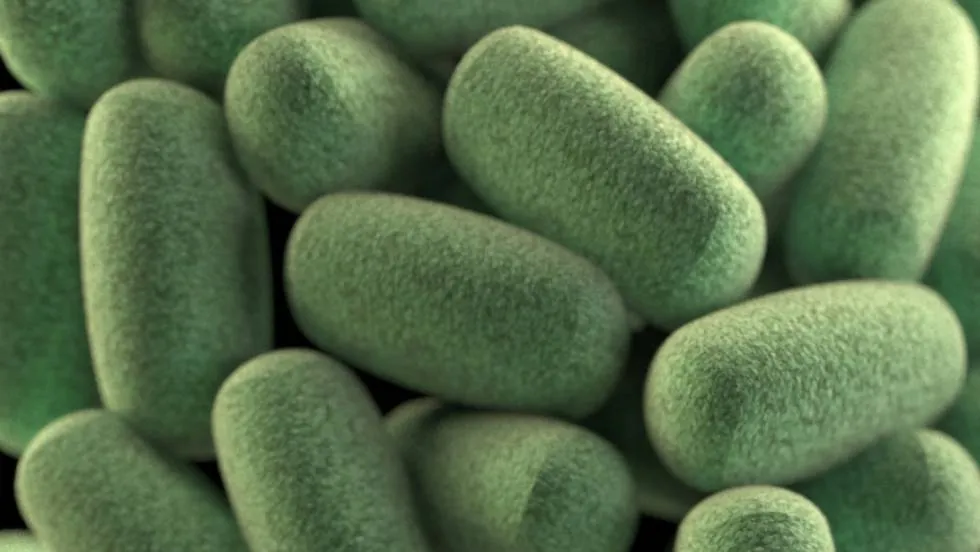 Greentech et l'Université Clermont Auvergne intensifient leur collaboration / Photo cdc