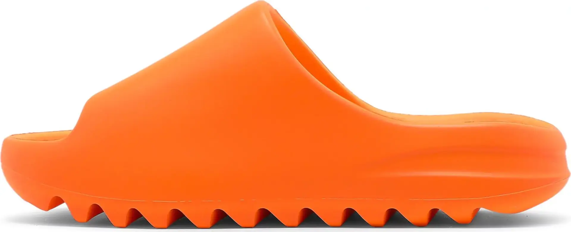 743873_03.jpg