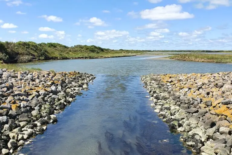 Vlieland Island 2