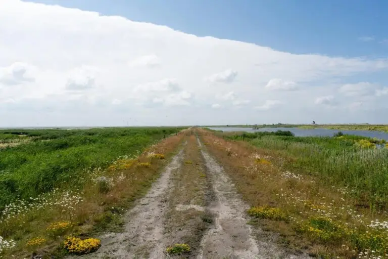 Marker Wadden