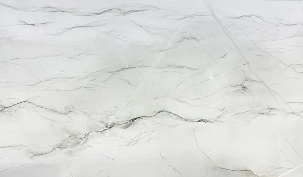 Alice White Exotic Quartzite Color absolute black