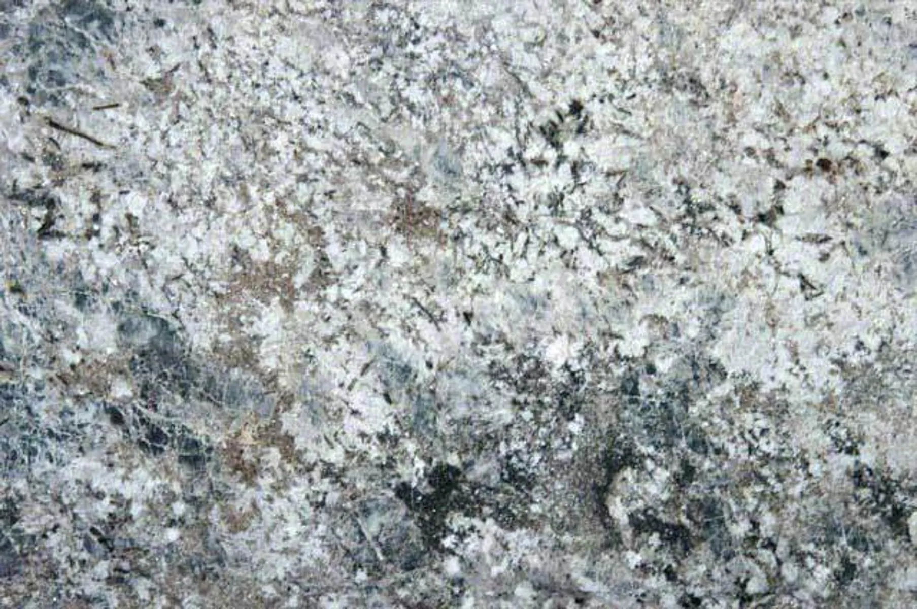 Blue Flower Granite Color angola black