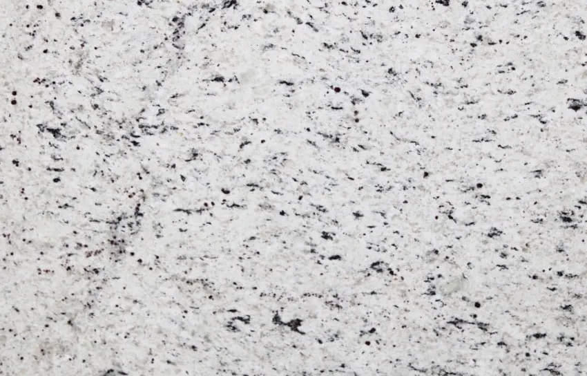 Ornamental White Granite Color absolute black