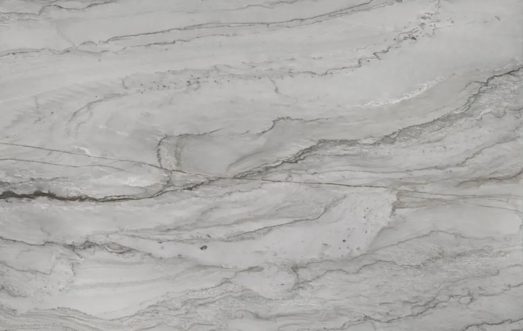 Sea Pearl Quartzite Color absolute black