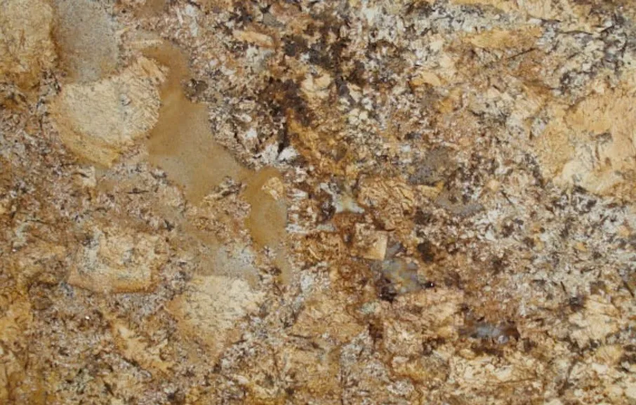 Tuscan Persa Granite Color absolute black