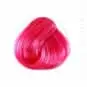 Coloration Cheveux Rose Bonbon - Directions | Color-Mania