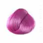 Coloration Cheveux Lavande - Directions | Color-Mania