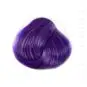 Coloration Cheveux Bleu Electrique – Directions | Color-Mania