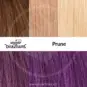 Swatch Prune