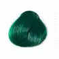 Coloration Cheveux Vert Alpin - Directions | Color-Mania