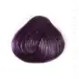 Coloration Cheveux Violet Prune – Directions | Color-Mania