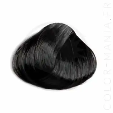 Coloration Cheveux Noir Ebène – Directions | Color-Mania