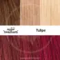 Swatch Tulipe