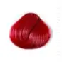 Coloration Cheveux Rose Tulipe – Directions | Color-Mania