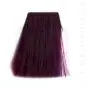 Coloration Cheveux Violet Purple Haze - Manic Panic | Color-Mania