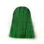 Coloration Cheveux Vert Venus Envy - Manic Panic | Color-Mania