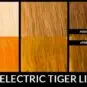 rendu de la coloration electric tiger lily sur différente couleur de cheveux