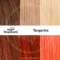 Swatch Tangerine