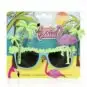 Lunettes Fantaisie Tropical | Color-Mania