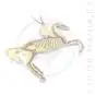 Collier Licorne Squelette Transparent Irisé | Color-Mania