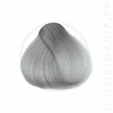 La Coloration Cheveux Gris Sylvia Grey - Herman's Amazing | Color-Mania