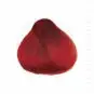 Coloration Cheveux Rouge Fiona Fire - Herman's Amazing | Color-Mania