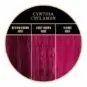 Coloration rose Cynthia Cyclamen de Herman's Amazing chez Color-Mania