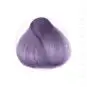 Coloration Cheveux Rosemary Mauve - Herman's Amazing | Color-Mania.fr
